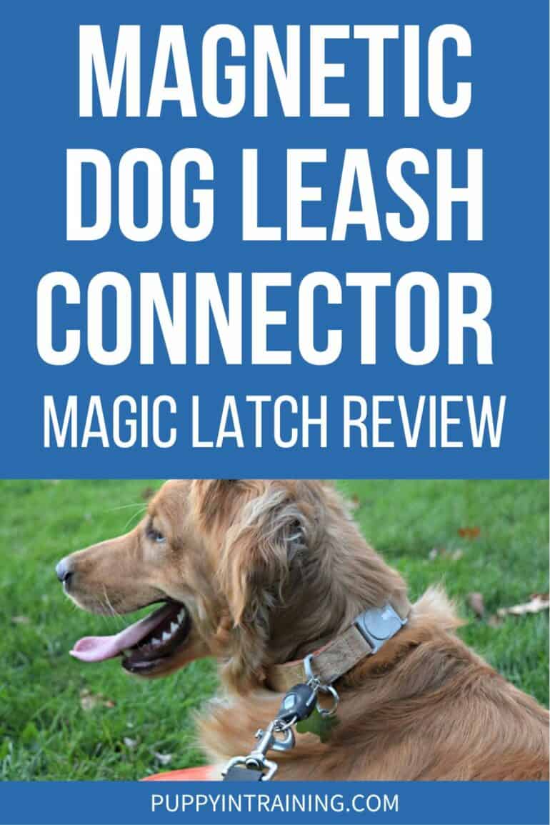 Magnetic Dog Leash Connector - Magic Latch Review