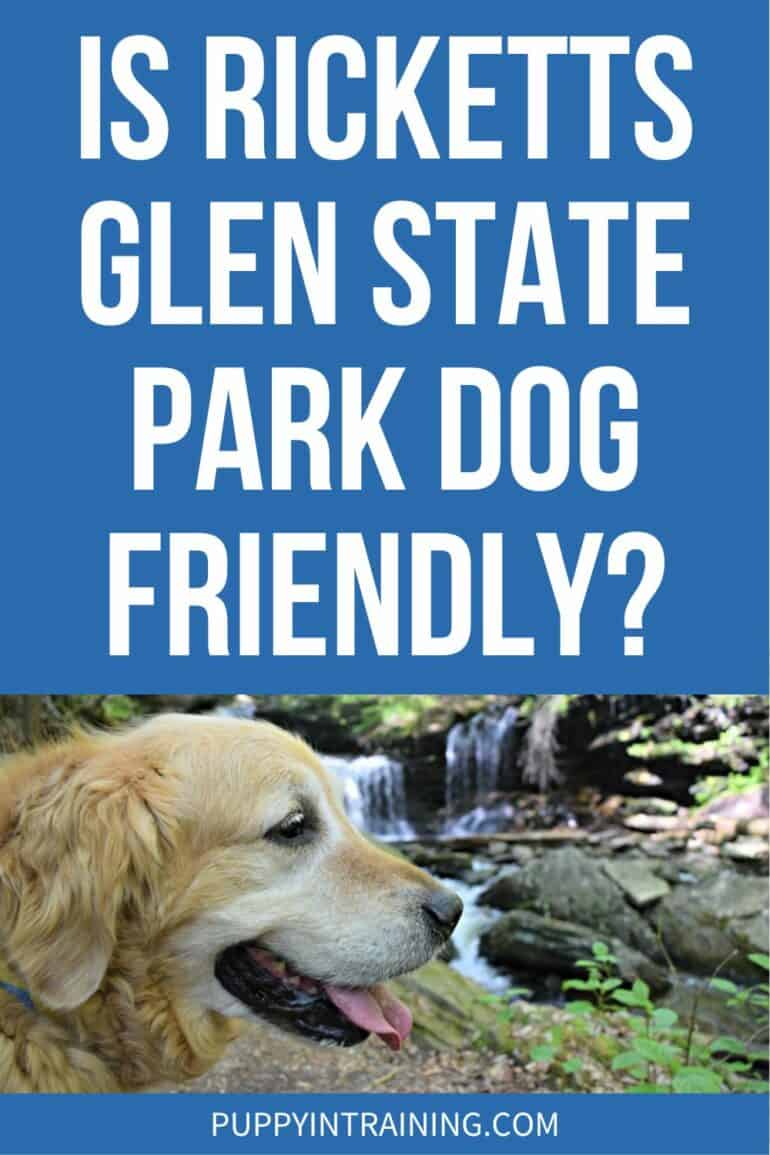 Is Ricketts Glen State Park Dog Friendly?