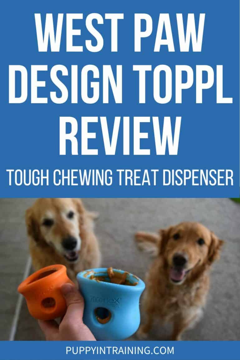 West Paw Design Toppl Review - Tough Chewing Treat Dispenser - Goldens wait for Toppl treats