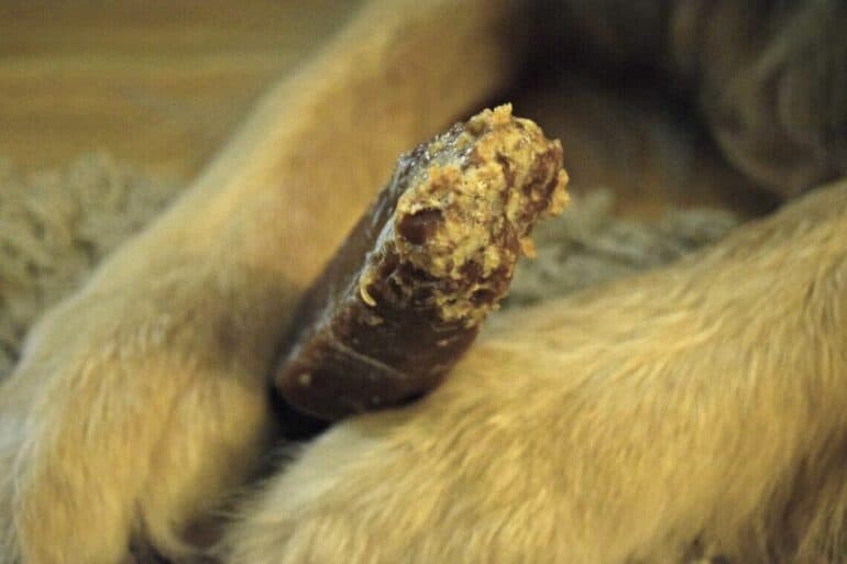 Close up of partially eaten Himalayan Dog Chew