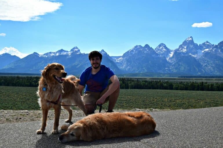 Visiting Grand Teton National Park with dogs.