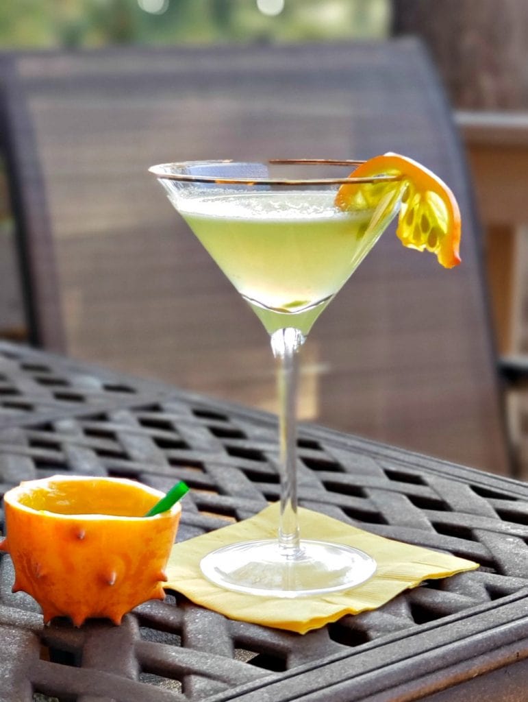 Martini glass with light green drink garnished with kiwano fruit and low ball made of kiwano melon rind