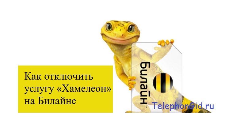 Как отключить услугу Хамелеон на Билайне