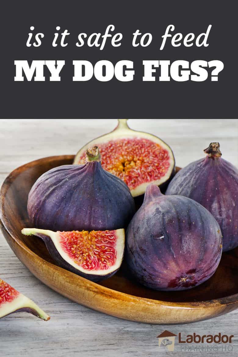 Is It Safe To Feed My Dog Figs - A bowl of figs with a couple cut in half/thirds.