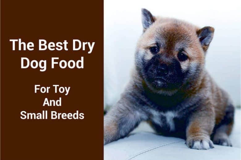 best dog food for toy breeds