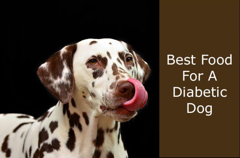 Best food for a diabetic dog
