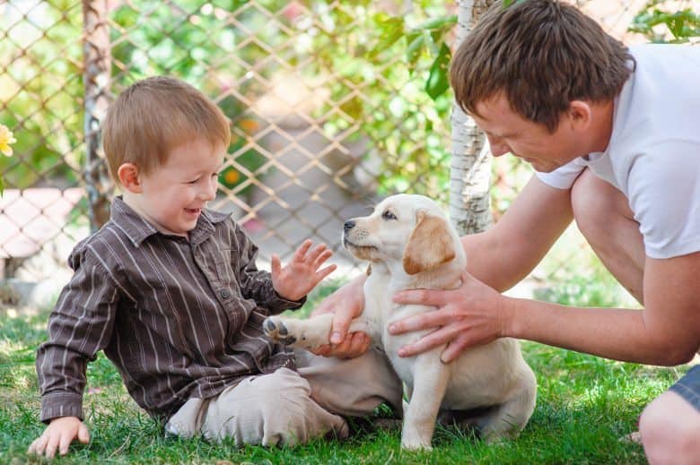 father and son playing with a labrador puppy on grass