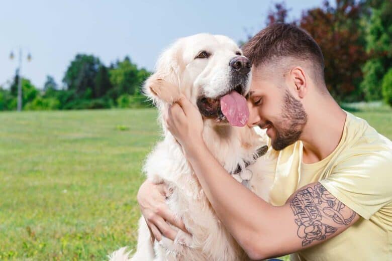 How To Adopt An Emotional Support Dog