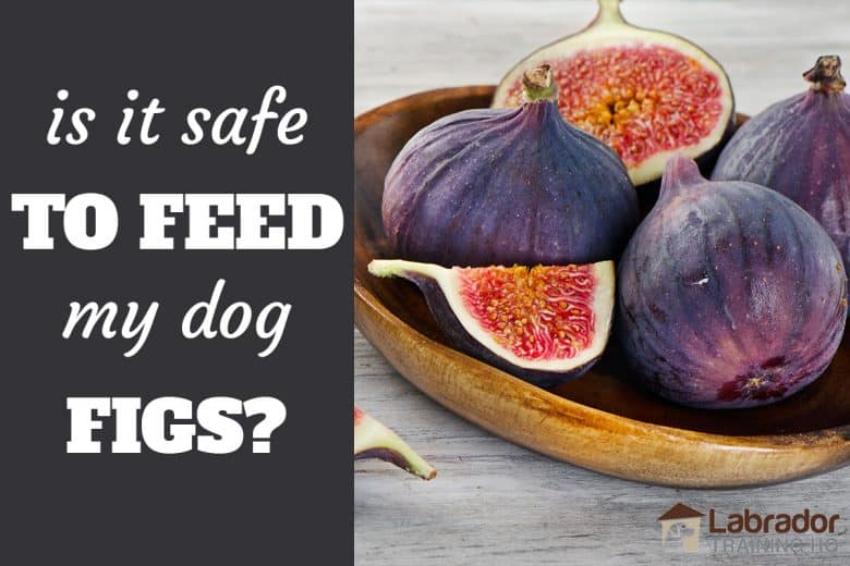 Is It Safe To Feed My Dog Figs - A Bowl of figs with one cut in half and another cut into thirds.