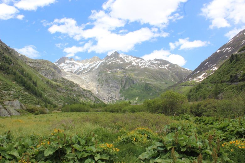 Furka Pass-Aussicht vom Obergolms, VS