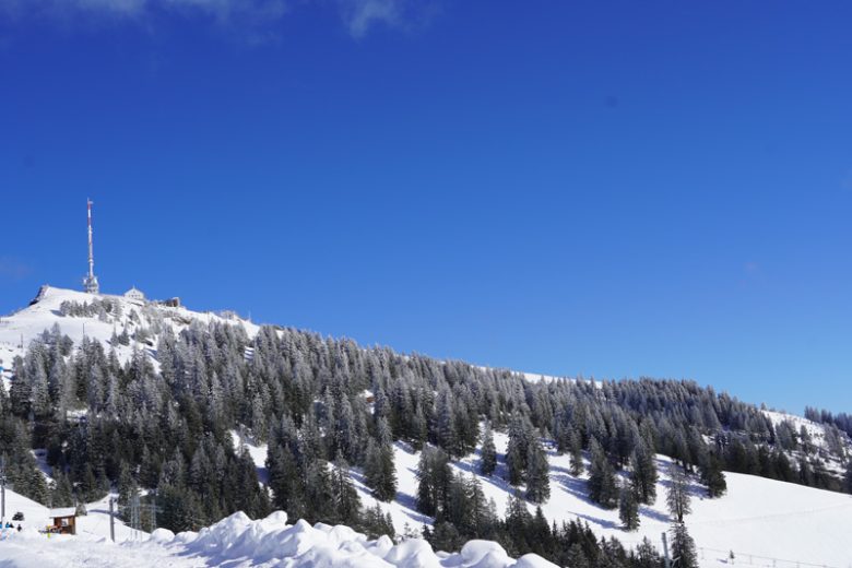 Rigi - Winterwunderland