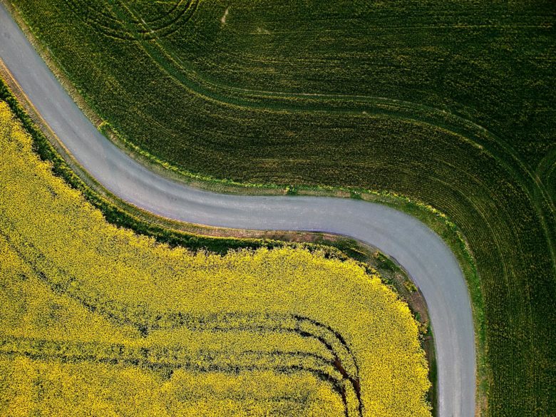 aerial photography of country road between green grass field