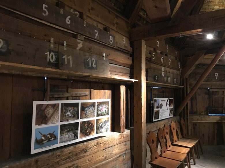 Galgenfrist Tour Luzern