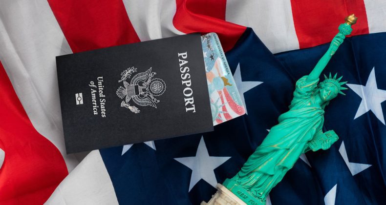 Best Business Immigration Visa Consultants