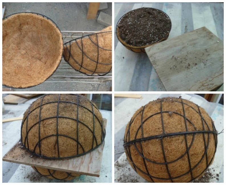 Cómo hacer una esfera de suculentas