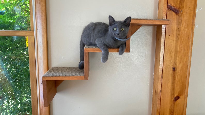 wall mounted cat stairs