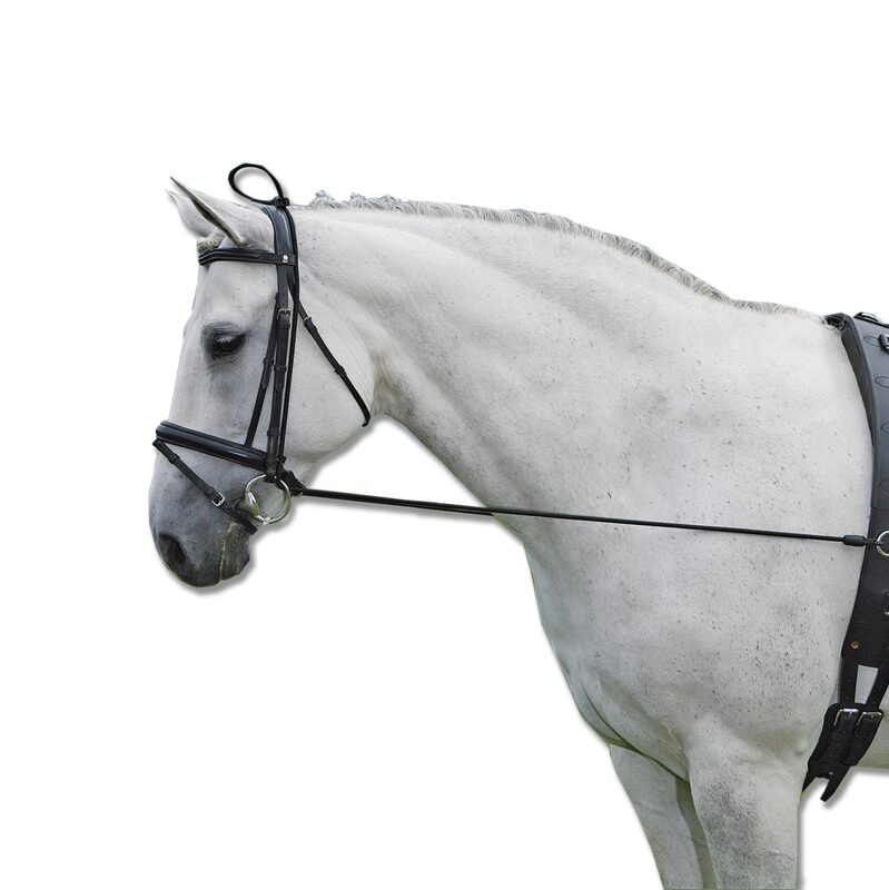 Elastični pomoćni dizgin Waldhausen