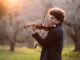 violino