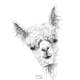 llama art by Kristin Llamas