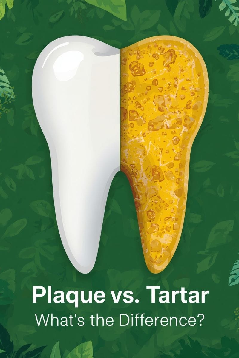 Plaque vs. Tartar: What's the Difference? 11 Plaque vs. Tartar: What’s the Difference?