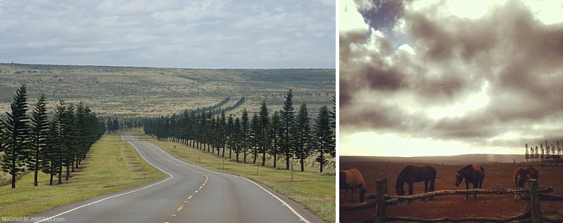 Lanai Activities History