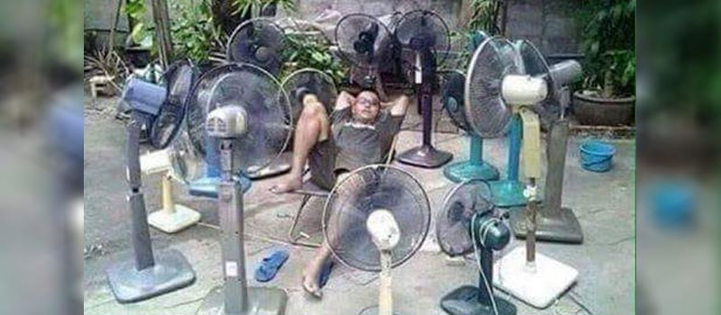 Inventive ways to survive in summer heat. #6