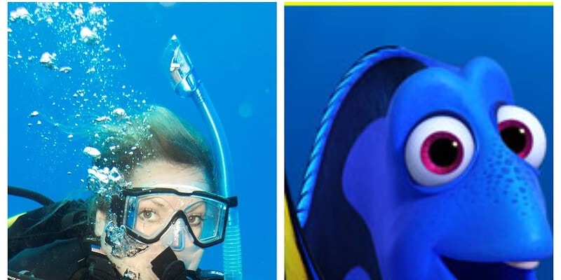 Dory, doppelganger, travels with tam