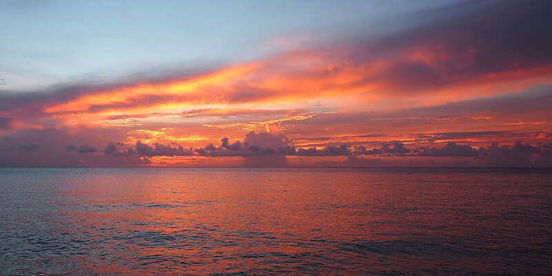 cozumel, scuba, home, dive cozumel, colors of cozumel