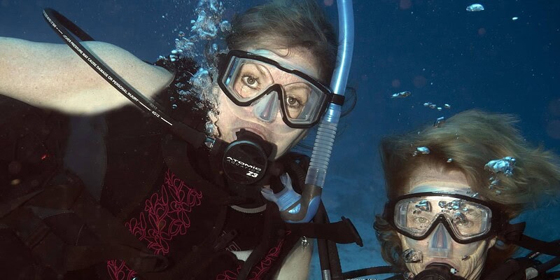 cozumel diving, sea turtles, about cozumel