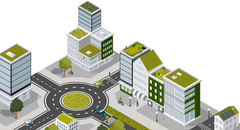 Green Roofing Systems for Sustainable Homes