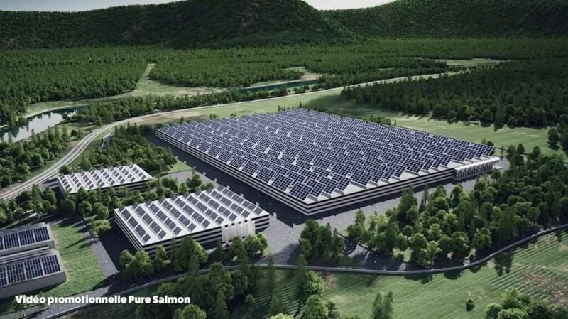 Capture d'écran d'un projet de mégaferme de saumon par PureSalmon, entreprise à l'origine du projet en Gironde.