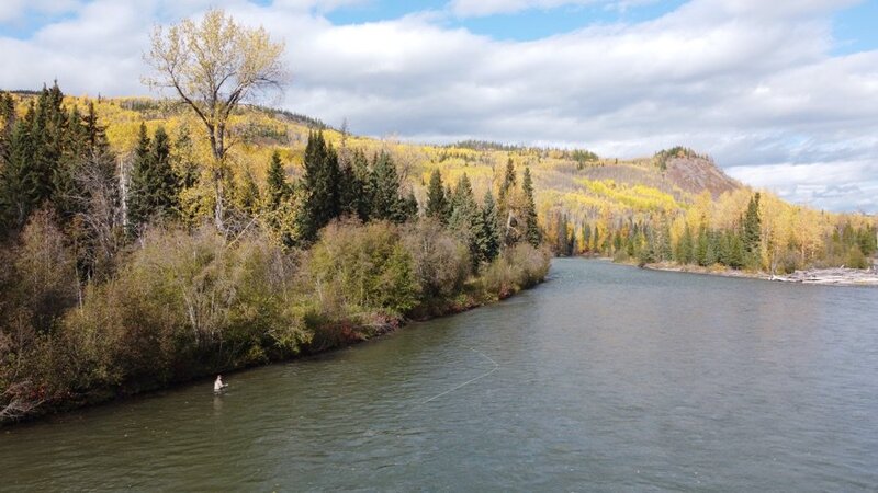 Bulkley River steelhead fishing