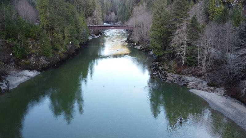 elaho river fishing