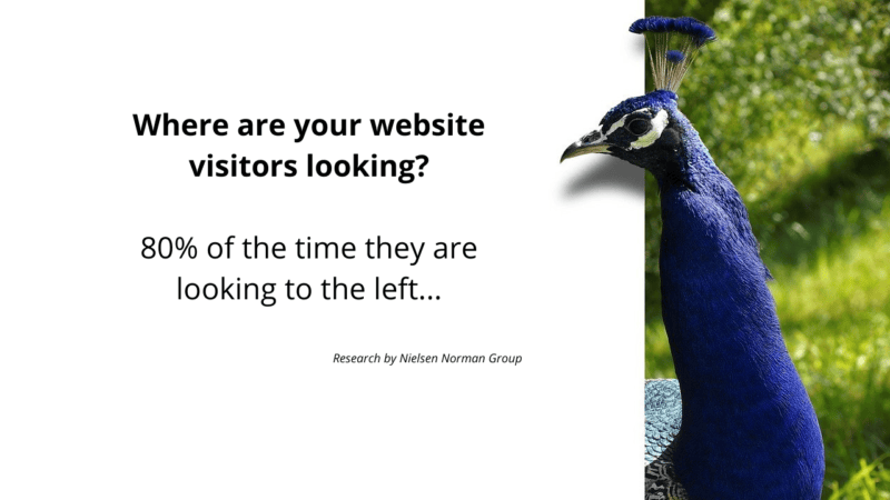 Where are visitors looking