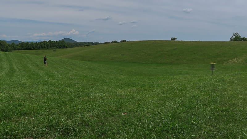 Buddy in a huge grassy field playing disc golf