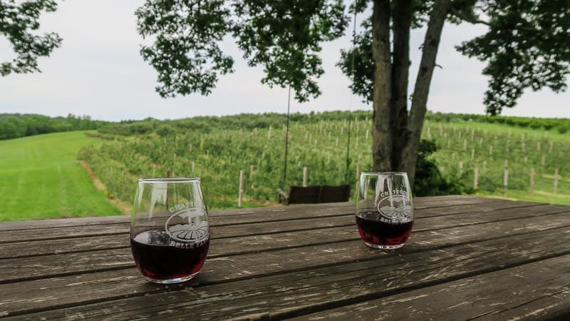 2 Glasses of wine on a picnic table overlooking some of the farm