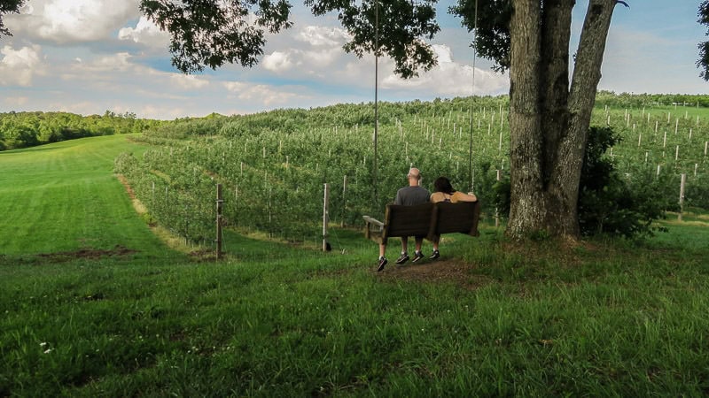 Brooke and Buddy on a tree swing together overlooking the farm