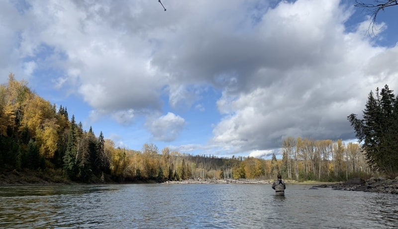 Steelhead Fishing Skeena Country - Adventures in Northern BC Vlog