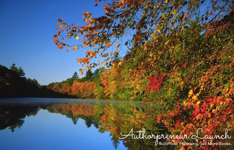 Fall Author Platform Building Game Plan