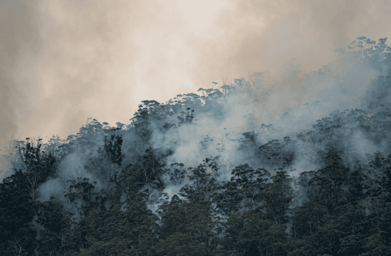 El nino 2 Matt Palmer