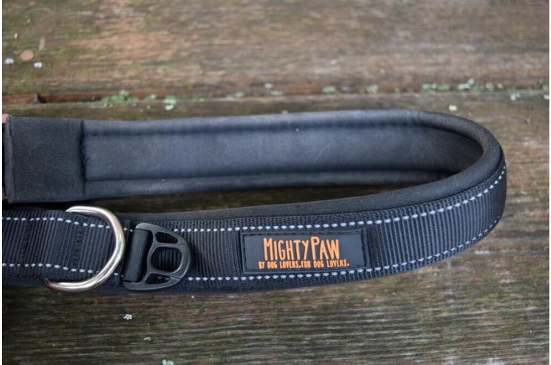 Padded dog collar for extra comfort and reduced irritation.