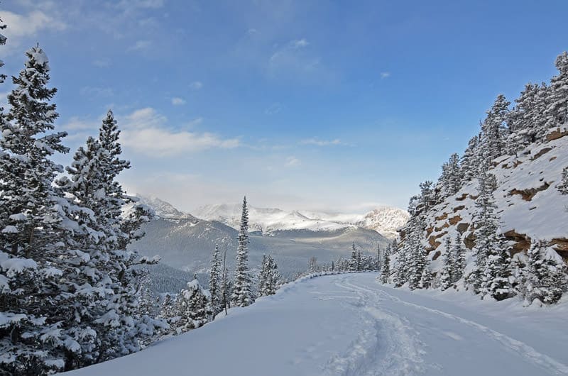 trail ridge road colorado