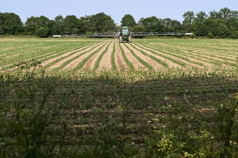 France, Montaigu-Vendee, 2025-06-09. A farmer in his tractor sprays pesticides on a corn field. Photograph by Mathieu Thomasset / Hans Lucas.