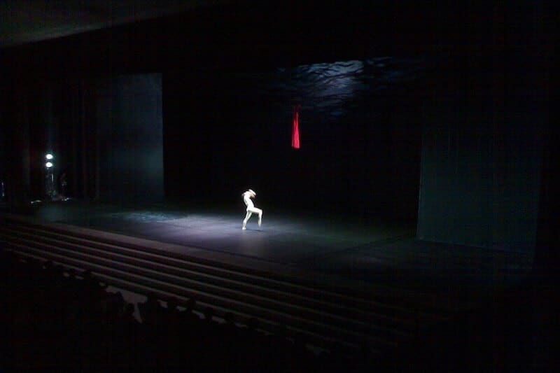 Tamara rojo bailarina ballet