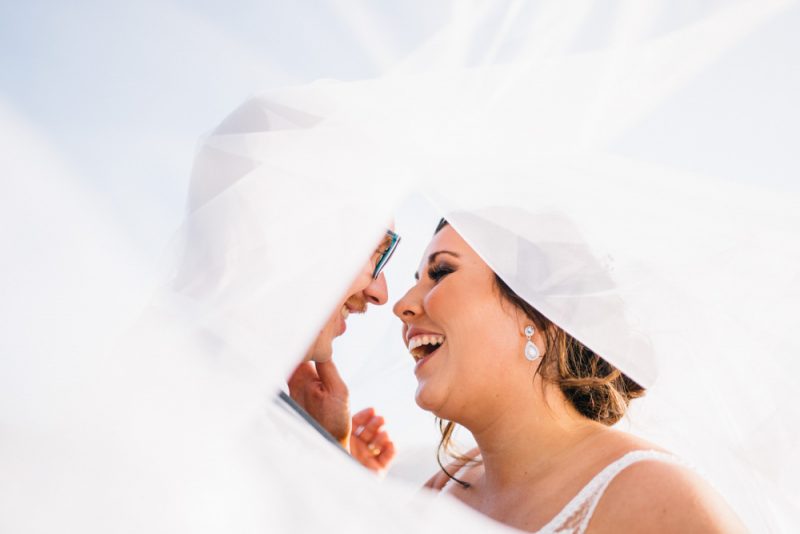 Golding wines wedding photography