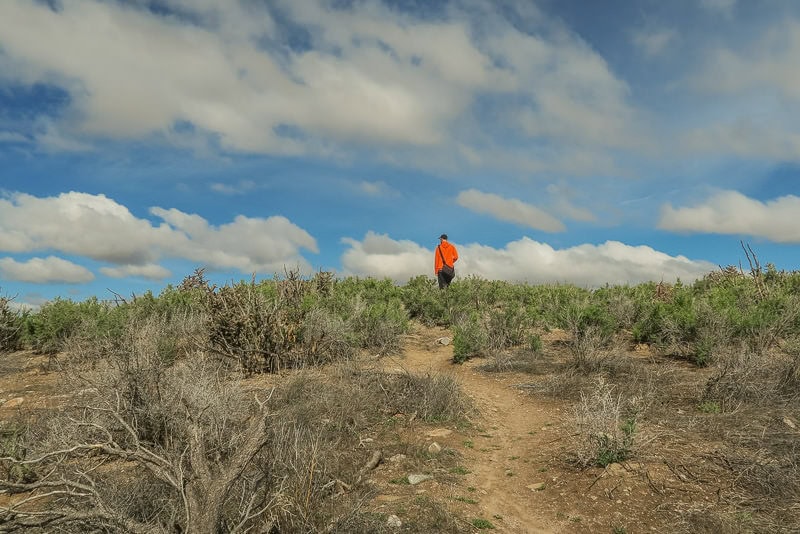 Buddy hiking through the Posi Reccreation Area