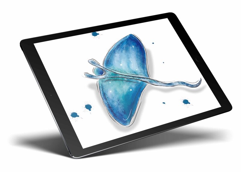 płaszczcka-procreate