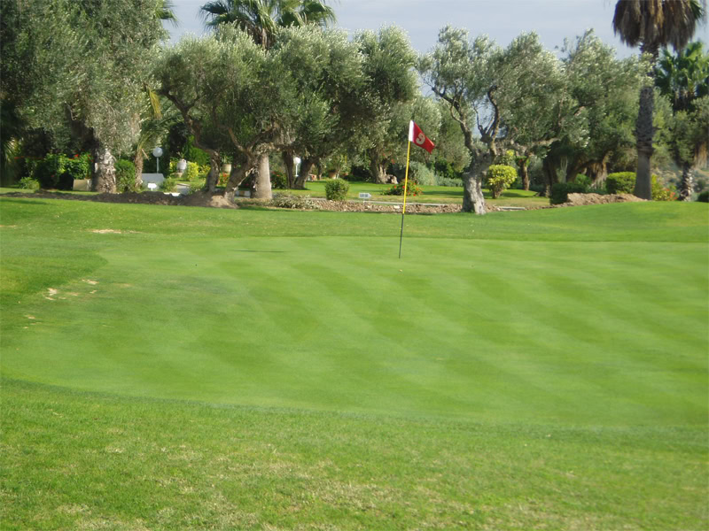 Parcours 18 trous Golf Flamingo