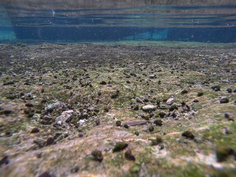 Clear water and rocks near Jacob's well