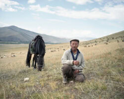 Mongolija putovanje: mongolski pastir u stepi pored osedlanog konja, u pozadini stado ovaca